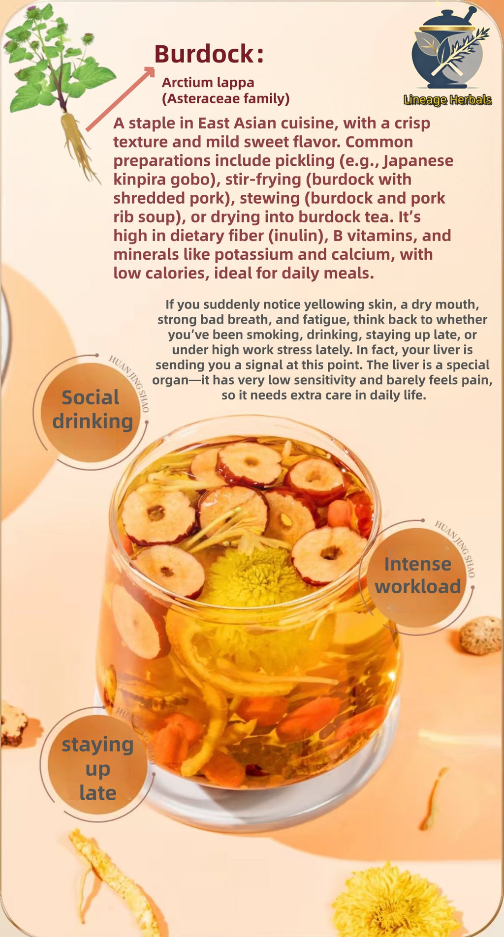 Herbal Liver Support Tea（10 Sachets per Bag）