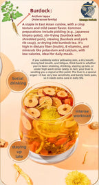 Herbal Liver Support Tea（10 Sachets per Bag）