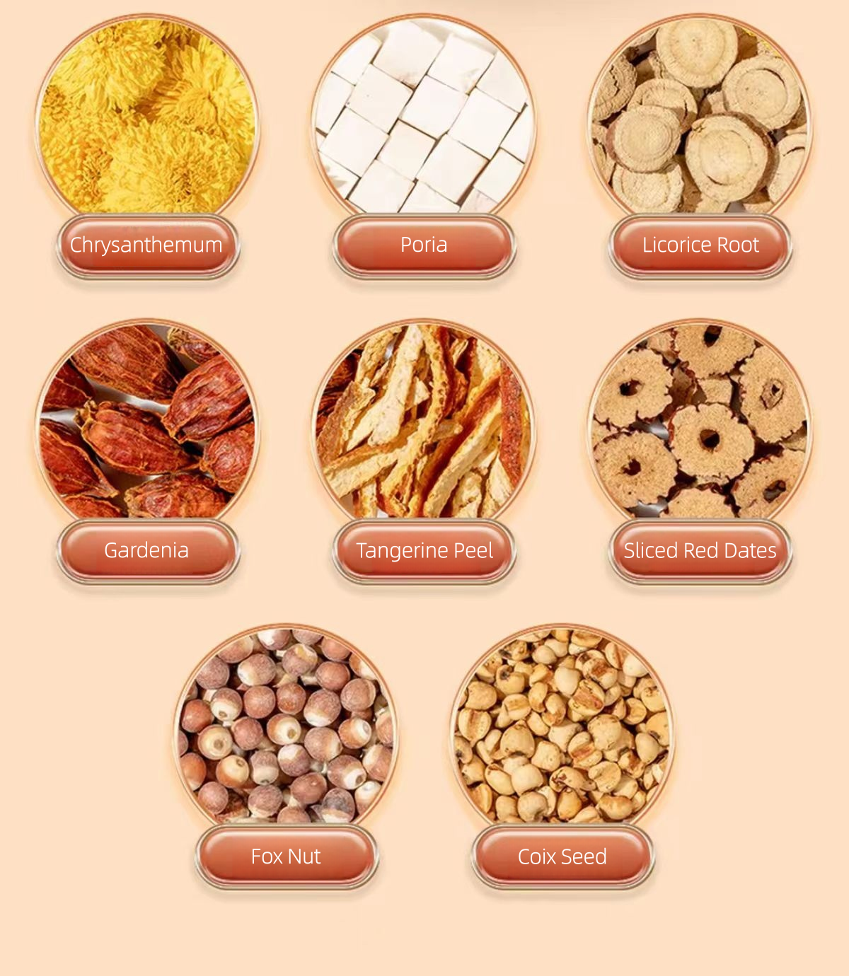 Purifying pigestive Balance Tea（10  Single-Serve Sachets）