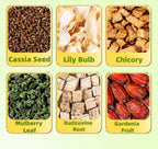 chicory Gardenia rea（10 Sachets per Bag）