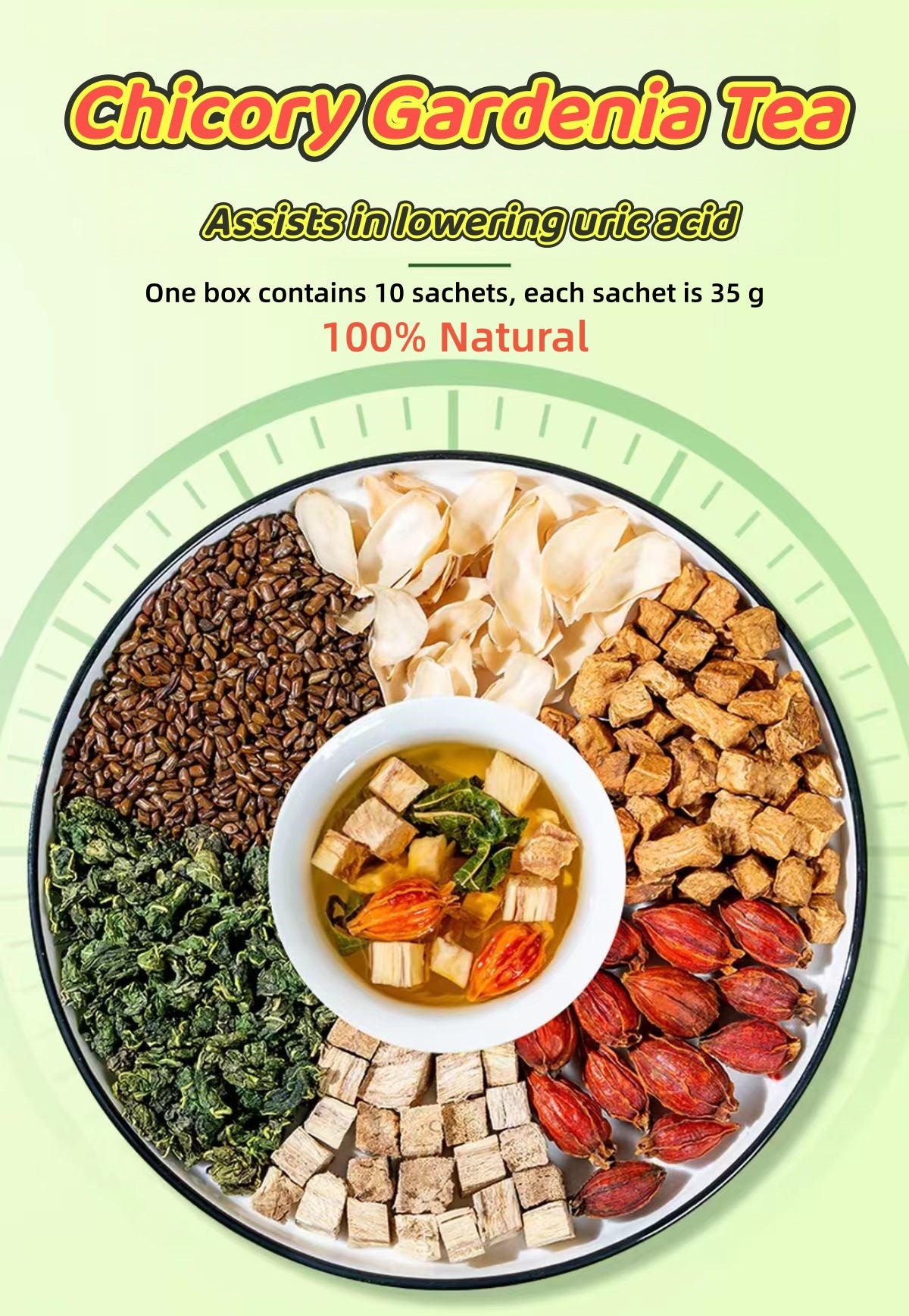 chicory Gardenia rea（10 Sachets per Bag）